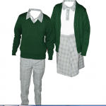 imagen de Sweater de Secundarias Federales