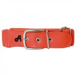 imagen de Comprar Cinturón Elastico Arrieta